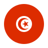 tunisia flag