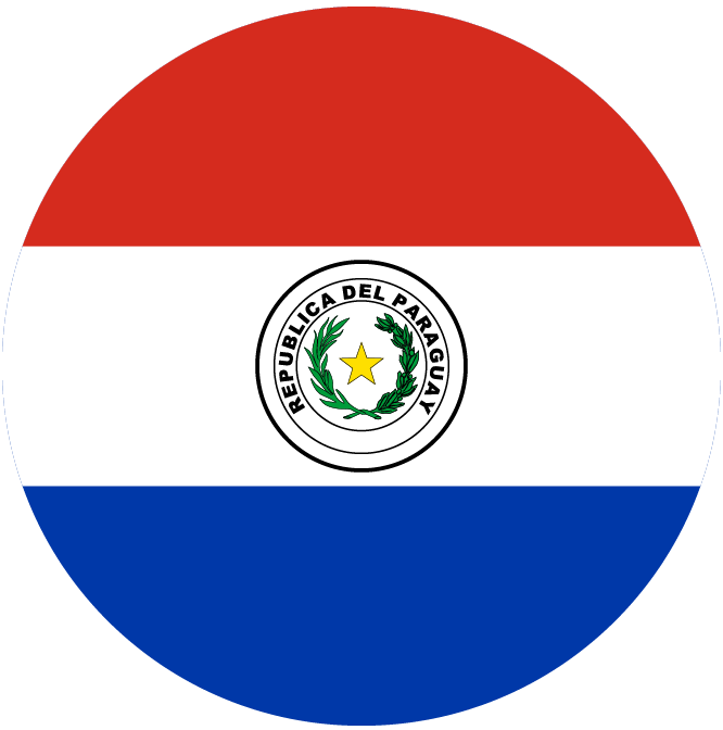 paraguay flag